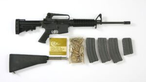 A rifle, ammunition and a magazine are shown.